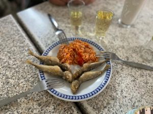Alentejo Food Tour